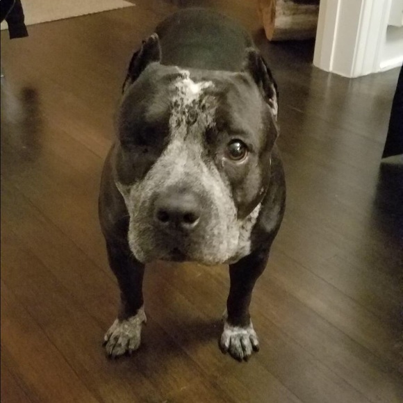 Meet your Posher, Allison - Picture 2 of 8